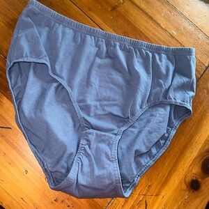 XXXL Panties. MUST BE BUNDLED (T)